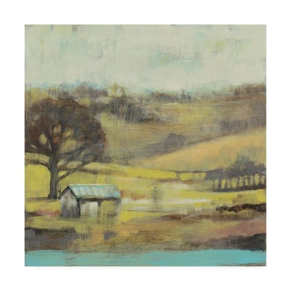 Trademark Fine Art 'Pastoral Mist I' Canvas Art by Jennifer Goldberger