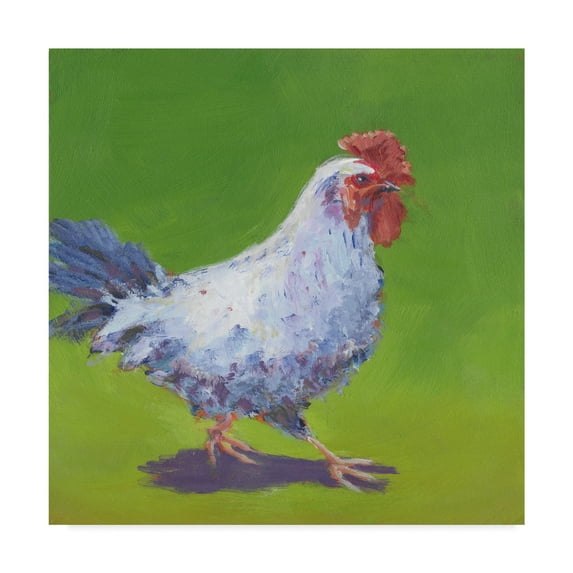 Trademark Fine Art 'Pasture Henrietta I' Canvas Art by Carol Young