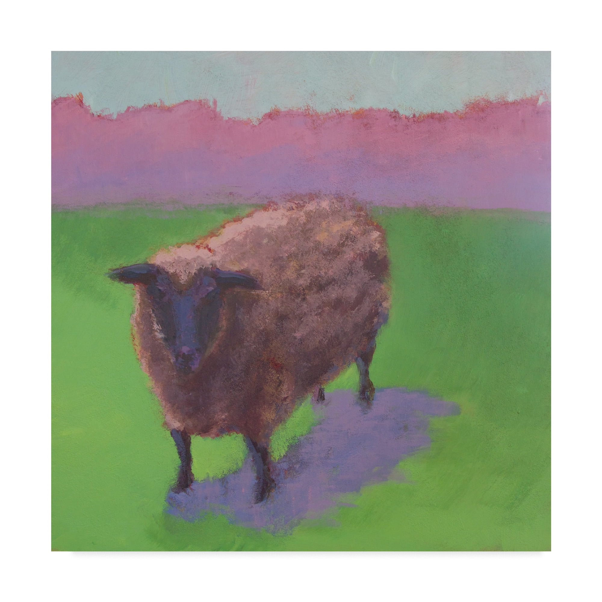 Trademark Fine Art 'Pasture Sheep' Canvas Art by Carol Young