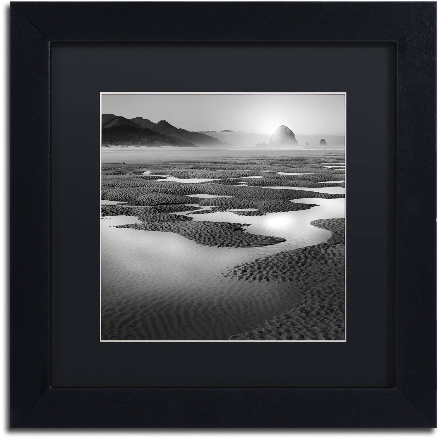 Trademark Fine Art "Path" Canvas Art by Moises Levy Black Matte, Black Frame