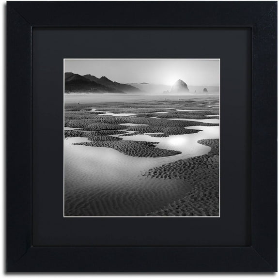 Trademark Fine Art "Path" Canvas Art by Moises Levy Black Matte, Black Frame