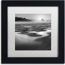 Trademark Fine Art "Path" Canvas Art by Moises Levy White Matte, Black Frame