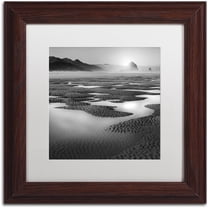 Trademark Fine Art "Path" Canvas Art by Moises Levy White Matte, Wood Frame