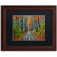 thumbnail image 1 of Trademark Fine Art "Paths" Canvas Art by CATeyes, Black Matte, Wood Frame, 1 of 5
