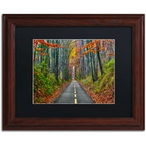Trademark Fine Art "Paths" Canvas Art by CATeyes, Black Matte, Wood Frame