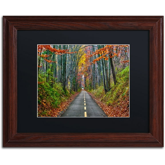 Trademark Fine Art "Paths" Canvas Art by CATeyes, Black Matte, Wood Frame