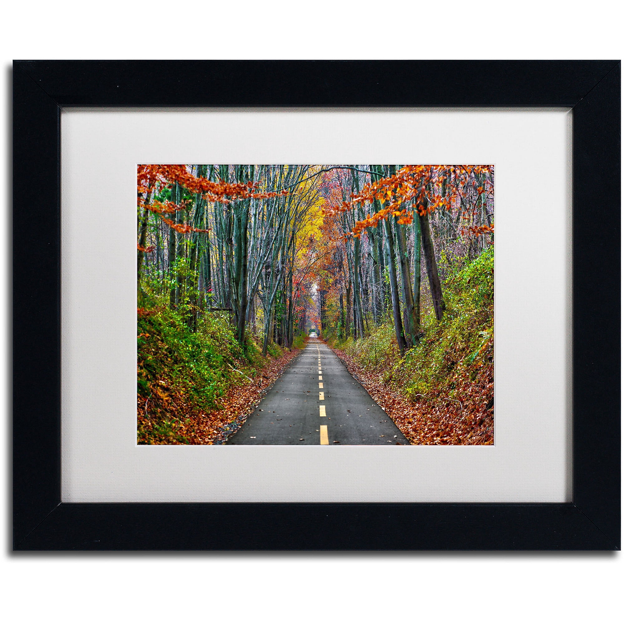 Trademark Fine Art "Paths" Canvas Art by CATeyes, White Matte, Black Frame