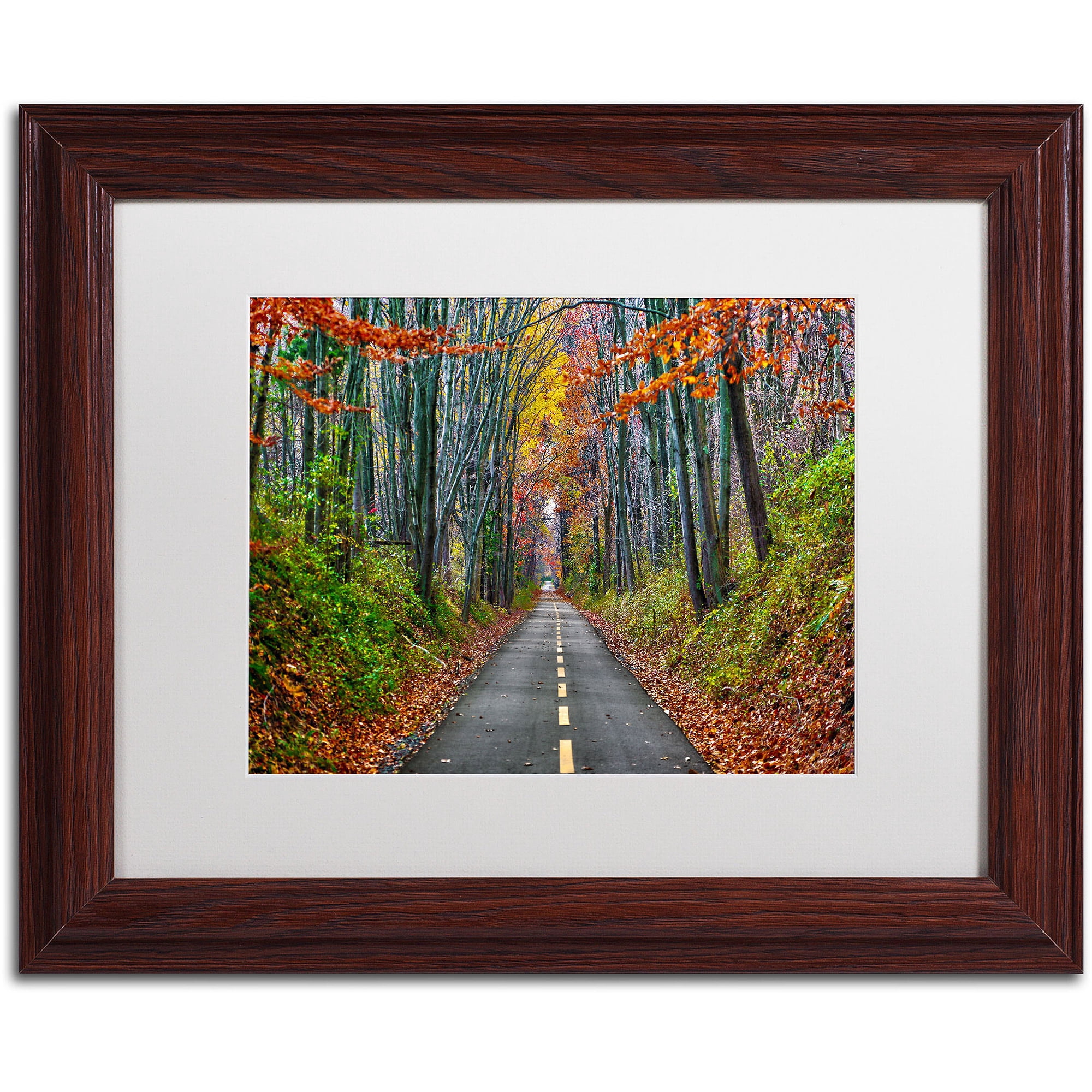 Trademark Fine Art "Paths" Canvas Art by CATeyes, White Matte, Wood Frame