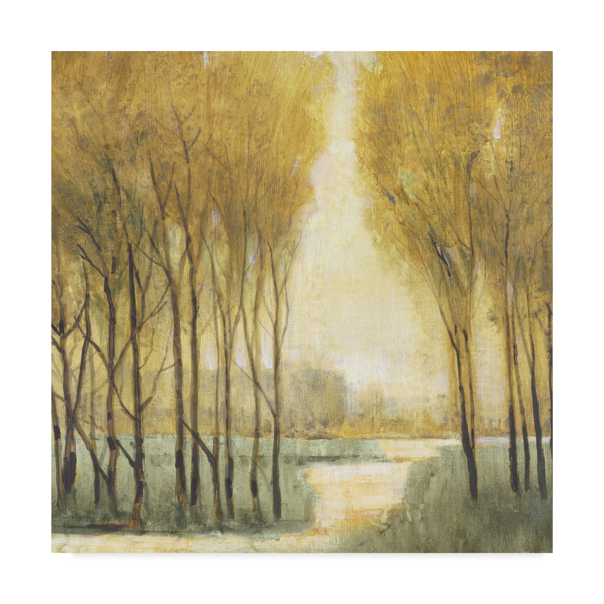 Trademark Fine Art 'Pathway Sanctuary' Canvas Art by Tim OToole