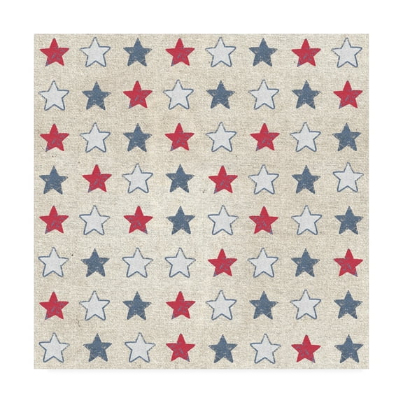 Trademark Fine Art 'Patriotic Dark Pattern IIA' Canvas Art by Beth Grove