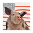 thumbnail image 1 of Trademark Fine Art 'Patriotic Farm IV' Canvas Art by Victoria Borges, 1 of 4
