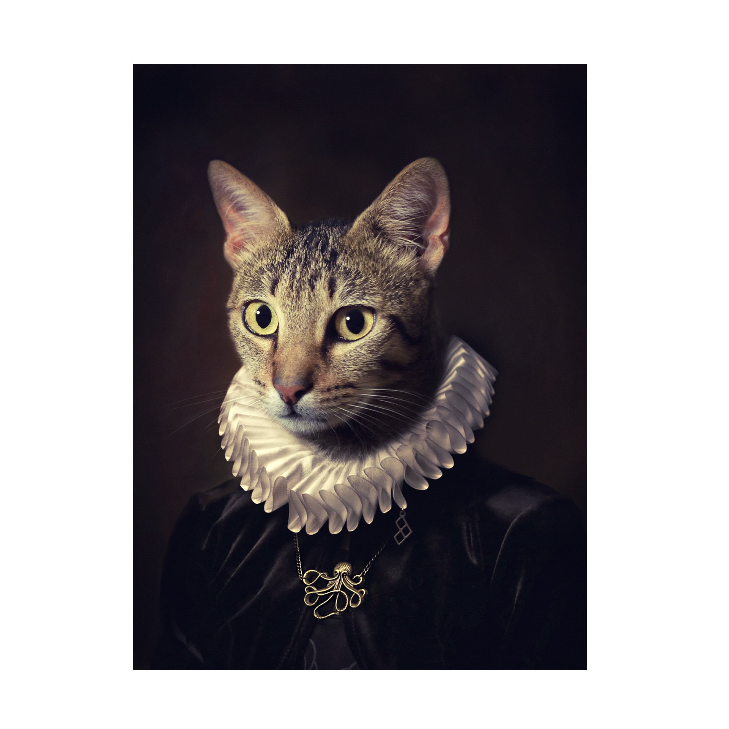 Trademark Fine Art Paulo Dias Sir Kiko Canvas Wall Art