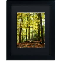 Trademark Fine Art "Pause" Canvas Art by Philippe Sainte-Laudy Black Matte, Black Frame