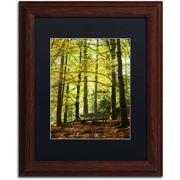 Trademark Fine Art "Pause" Canvas Art by Philippe Sainte-Laudy Black Matte, Wood Frame