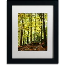 Trademark Fine Art "Pause" Canvas Art by Philippe Sainte-Laudy White Matte, Black Frame