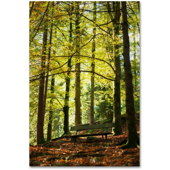 Trademark Fine Art "Pause" Canvas Art by Philippe Sainte-Laudy