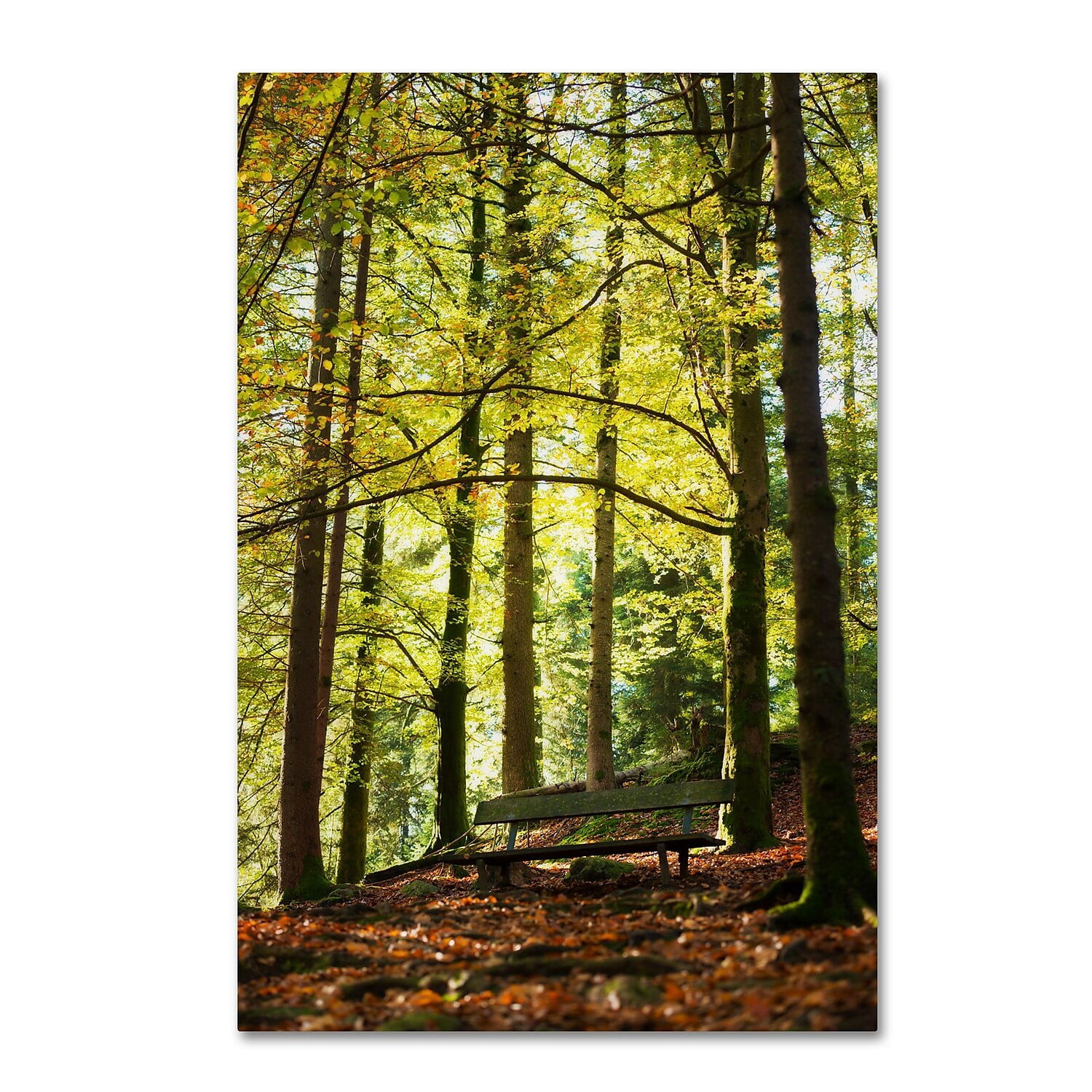 Trademark Fine Art "Pause" Canvas Art by Philippe Sainte-Laudy
