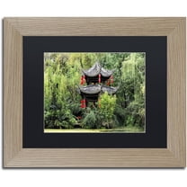 Trademark Fine Art "Pavilion" Canvas Art by Philippe Hugonnard, Black Matte, Birch Frame