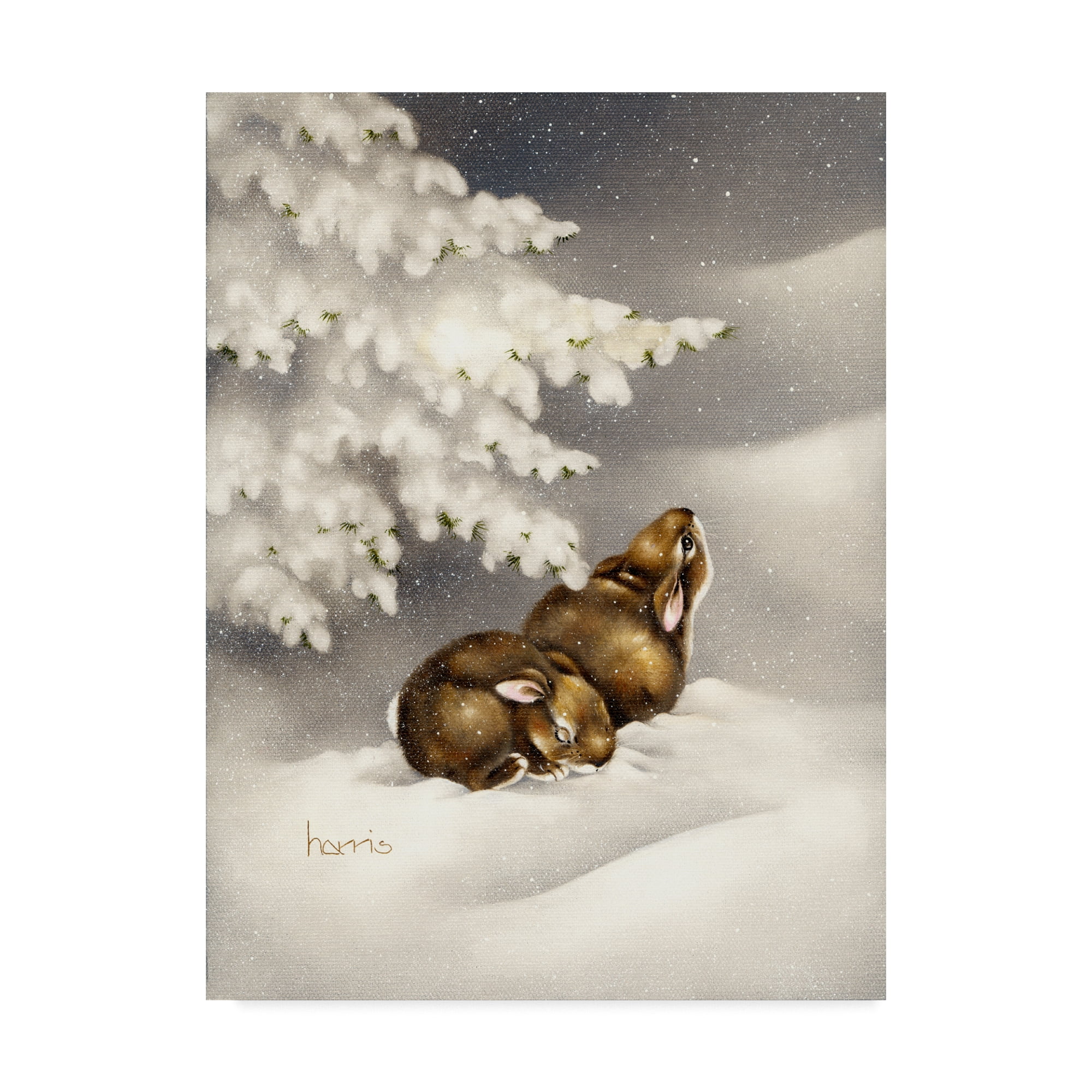 Trademark Fine Art 'Peace On Earth Rabbit' Canvas Art by Peggy Harris