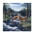 thumbnail image 1 of Trademark Fine Art Jeff Tift Peaceful Morning Canvas Wall Art - 24x24, 1 of 5