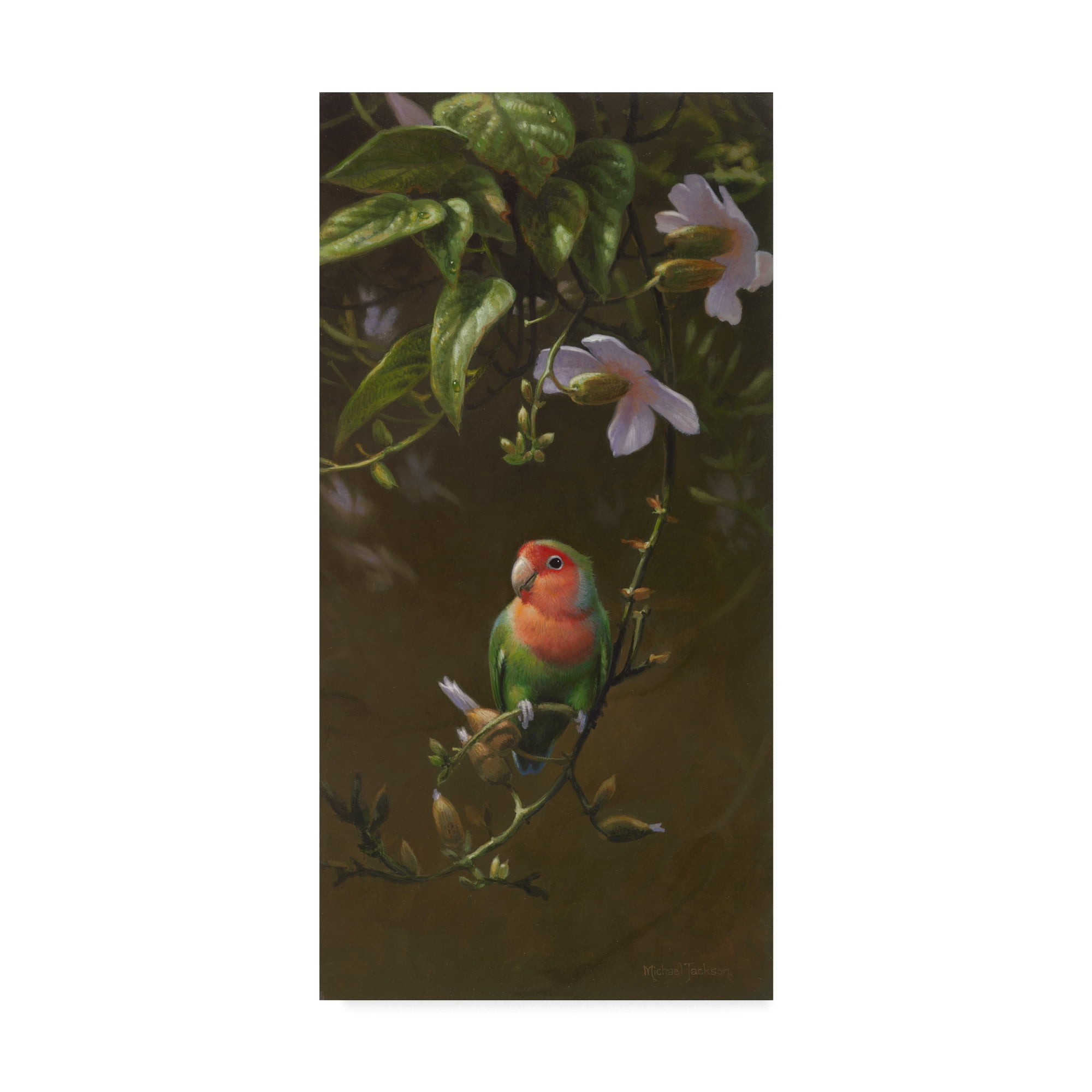 Trademark Fine Art 'Peach Faced Lovebird 1' Canvas Art by Michael Jackson