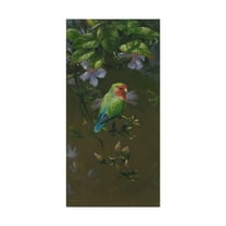 Trademark Fine Art 'Peach Faced Lovebird 2' Canvas Art by Michael Jackson