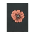 thumbnail image 1 of Trademark Fine Art 'Peach Flower On Gray' Canvas Art by Nicky Kumar, 1 of 3