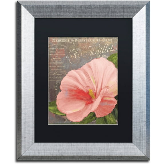 Trademark Fine Art "Peach Hibiscus" Canvas Art by Color Bakery Black Matte, Silver Frame