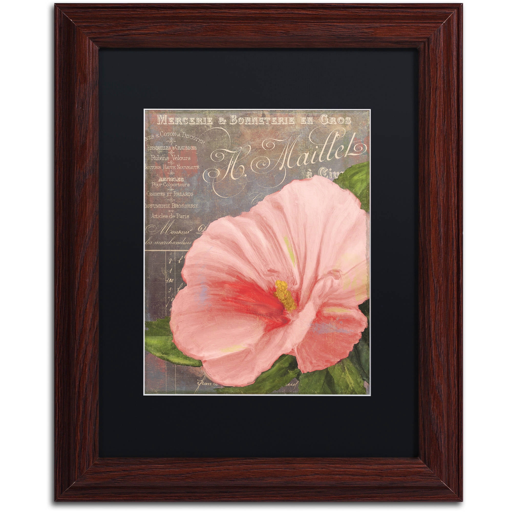 Trademark Fine Art "Peach Hibiscus" Canvas Art by Color Bakery Black Matte, Wood Frame