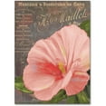 thumbnail image 1 of Trademark Fine Art "Peach Hibiscus" Canvas Art by Color Bakery, 1 of 4