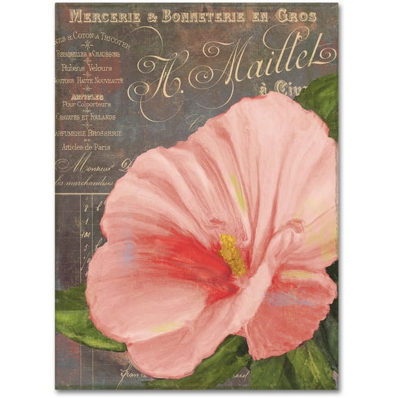 Trademark Fine Art "Peach Hibiscus" Canvas Art by Color Bakery