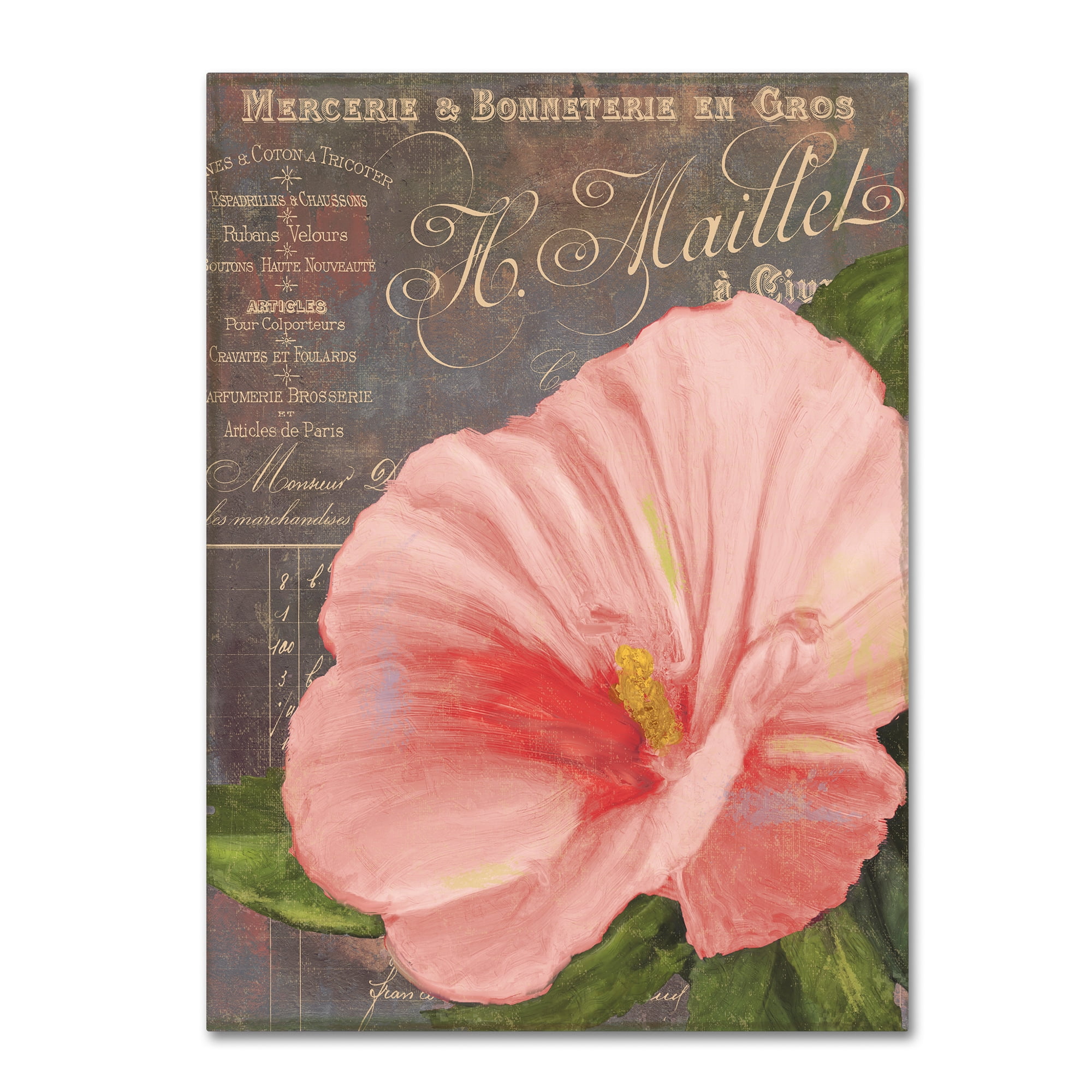 Trademark Fine Art "Peach Hibiscus" Canvas Art by Color Bakery