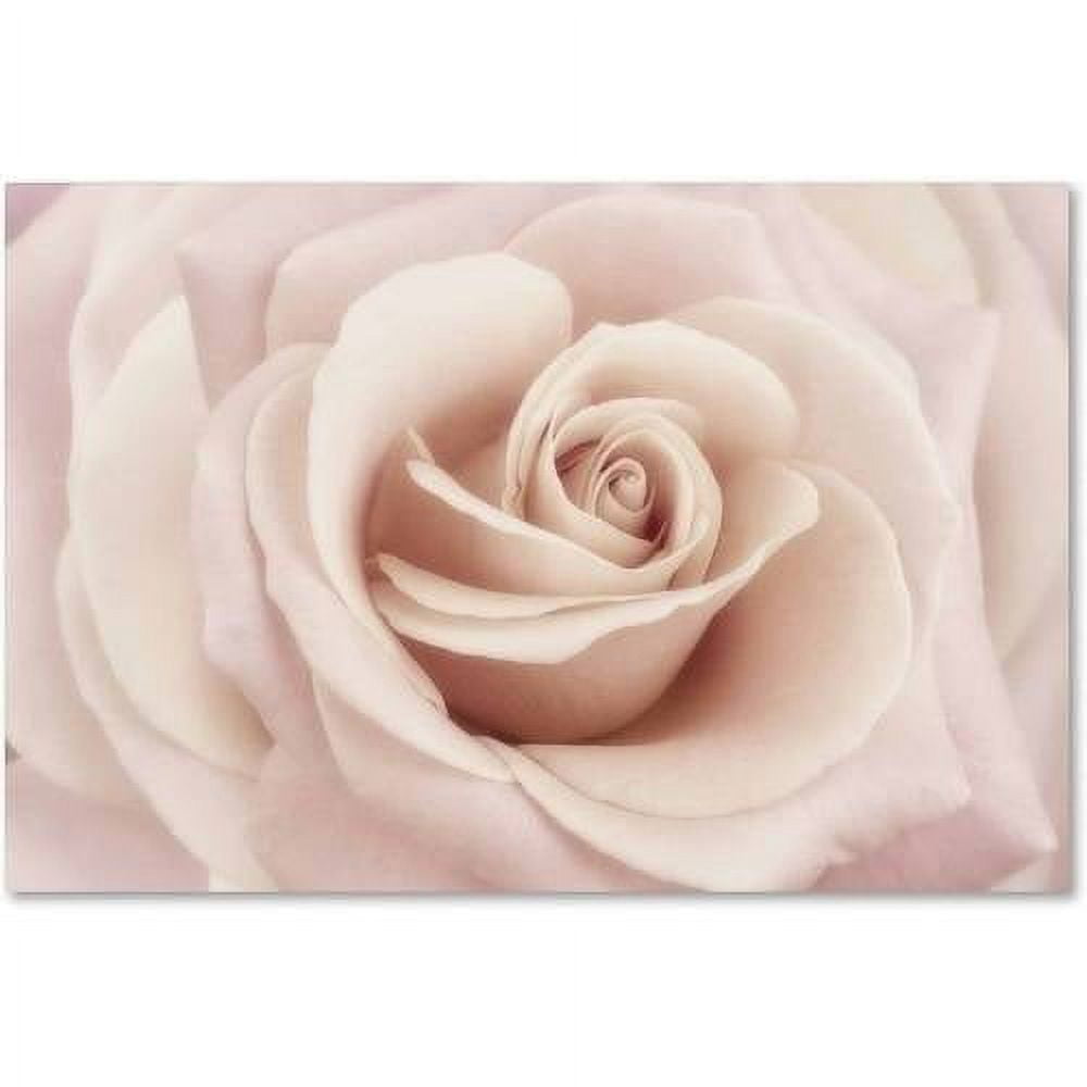 Peach Pink Rose Glossy Wrapped Canvas Wall Art