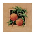 thumbnail image 1 of Trademark Fine Art ' Peach Square' Canvas Art by Barbara Mock, 1 of 3