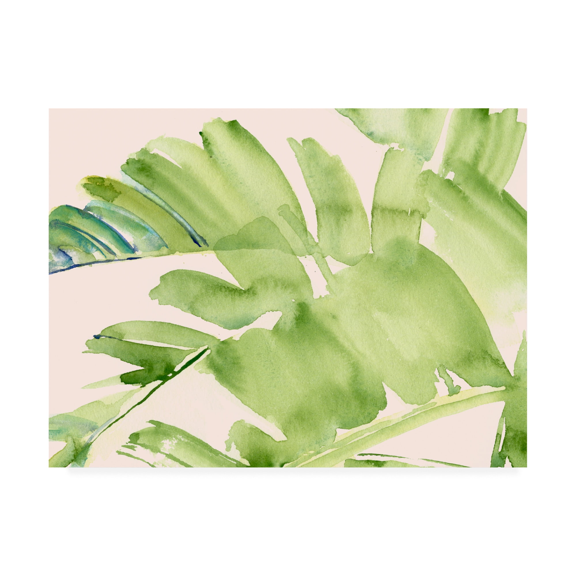 Trademark Fine Art 'Peachy Palms II' Canvas Art by Jennifer Paxton Parker