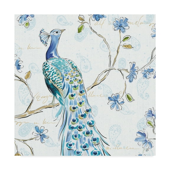 Trademark Fine Art 'Peacock Allegory III White' Canvas Art by Daphne Brissonnet