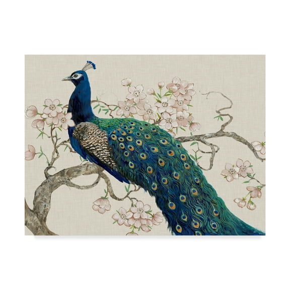 Trademark Fine Art 'Peacock And Blossoms II' Canvas Art by Tim OToole