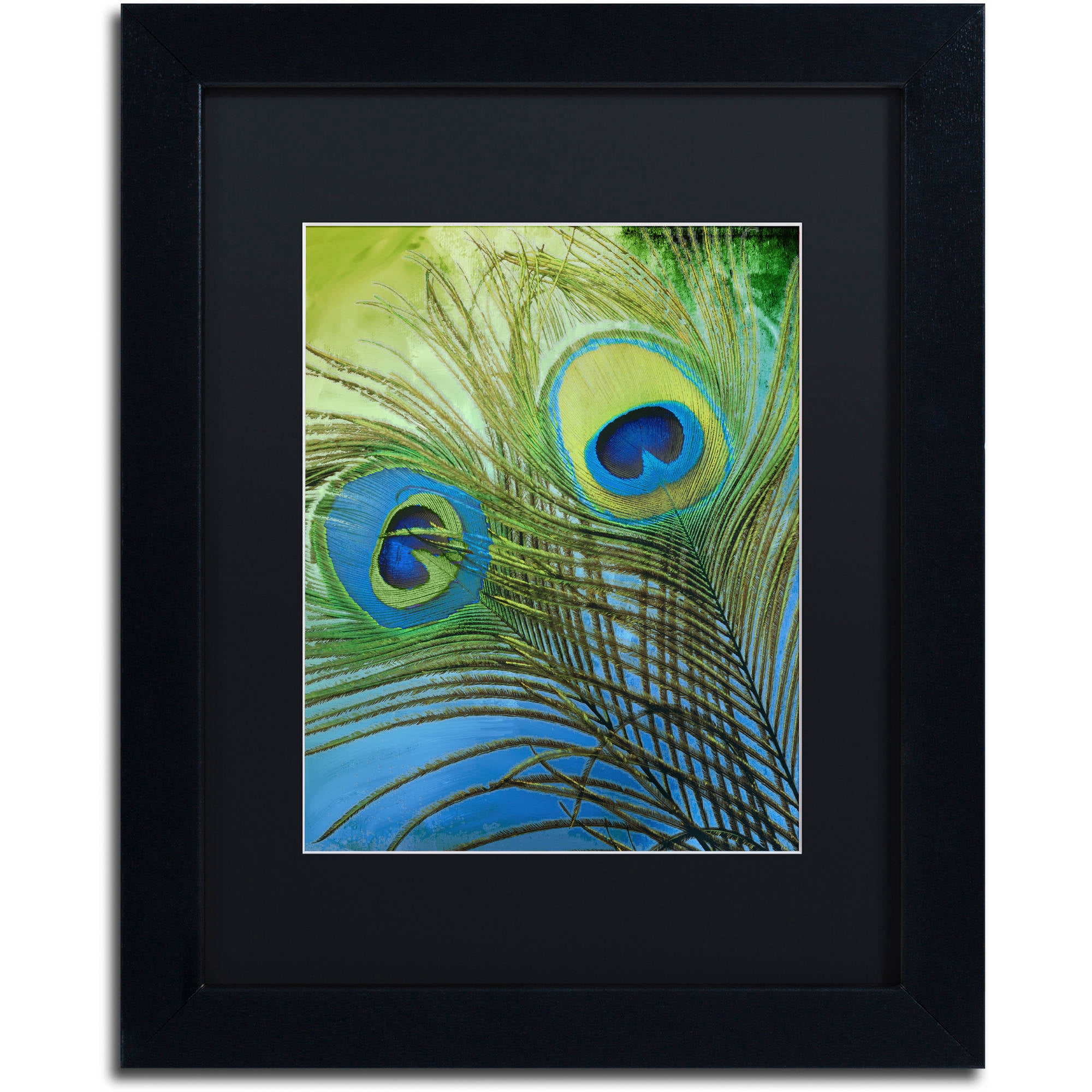Trademark Fine Art "Peacock Candy I" Canvas Art by Color Bakery Black Matte, Black Frame