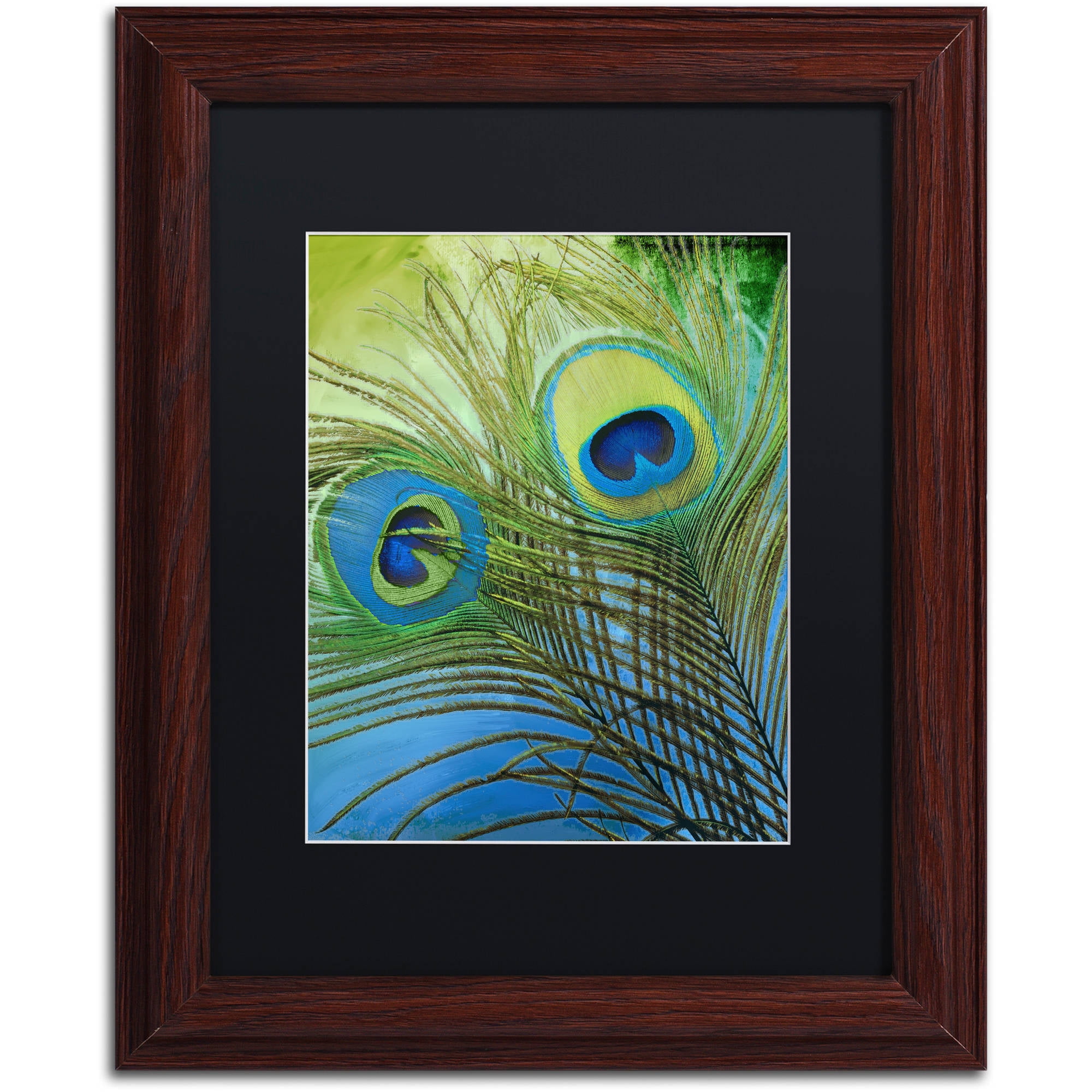 Trademark Fine Art "Peacock Candy I" Canvas Art by Color Bakery Black Matte, Wood Frame