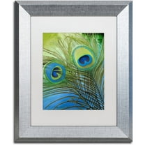 Trademark Fine Art "Peacock Candy I" Canvas Art by Color Bakery White Matte, Silver Frame
