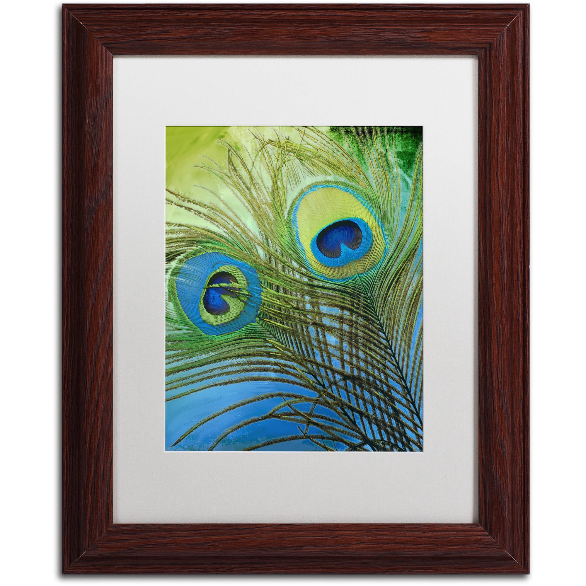 Trademark Fine Art "Peacock Candy I" Canvas Art by Color Bakery White Matte, Wood Frame
