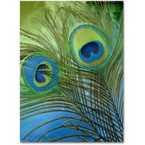 Trademark Fine Art "Peacock Candy I" Canvas Art by Color Bakery