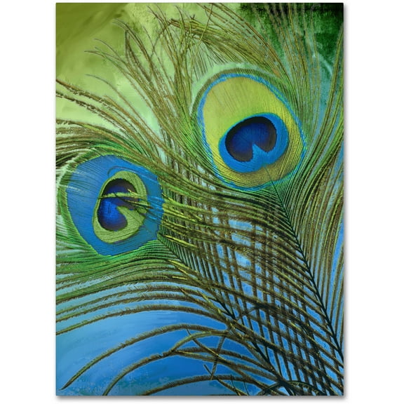 Trademark Fine Art "Peacock Candy I" Canvas Art by Color Bakery