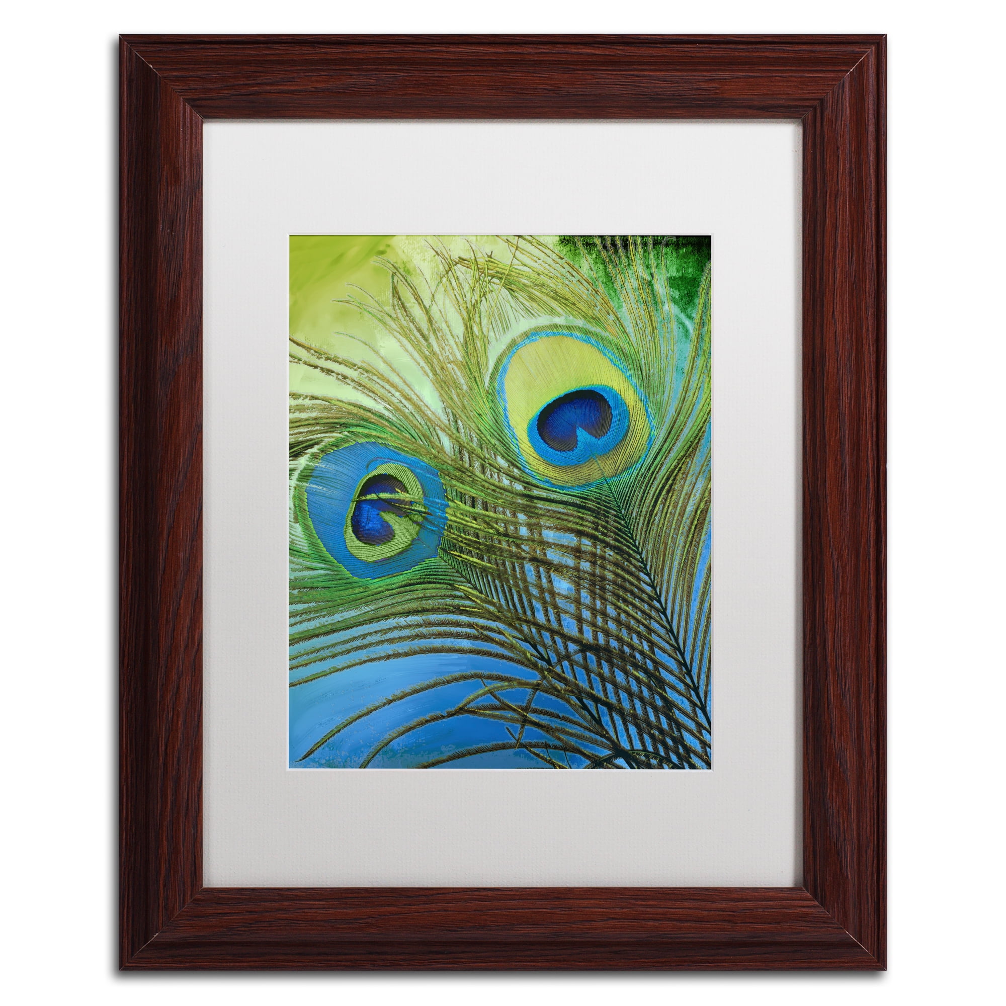 Trademark Fine Art 'Peacock Candy I' Matted Framed Art by Color Bakery