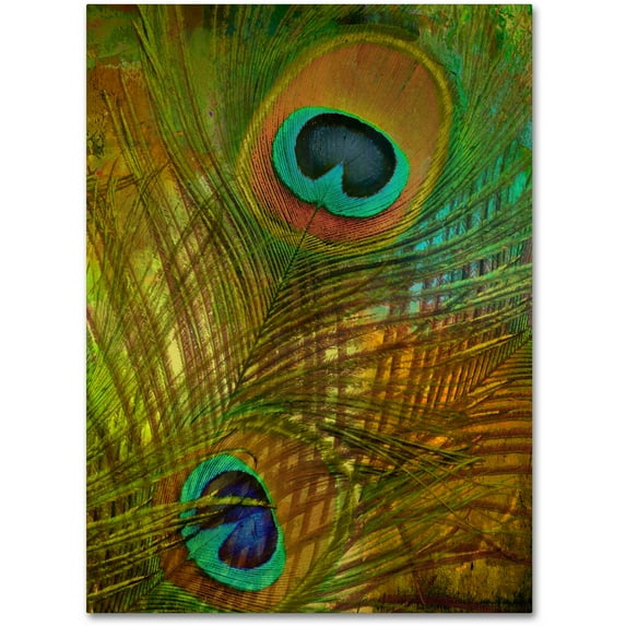 Trademark Fine Art "Peacock Candy II" Canvas Art by Color Bakery