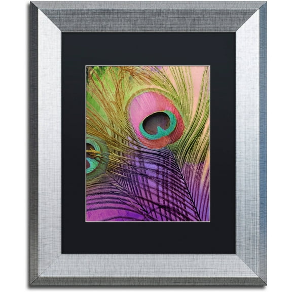 Trademark Fine Art "Peacock Candy III" Canvas Art by Color Bakery Black Matte, Silver Frame