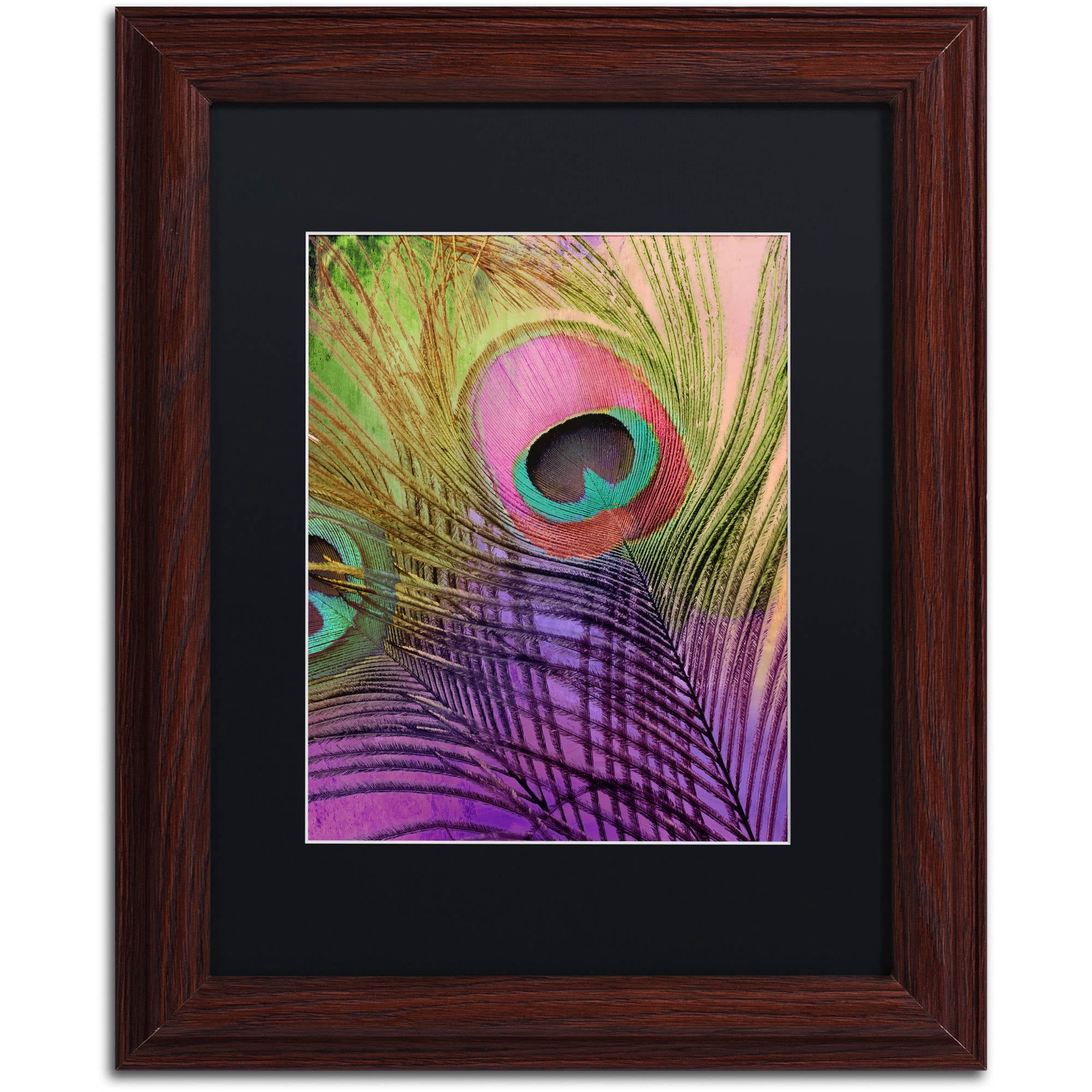 Trademark Fine Art "Peacock Candy III" Canvas Art by Color Bakery Black Matte, Wood Frame