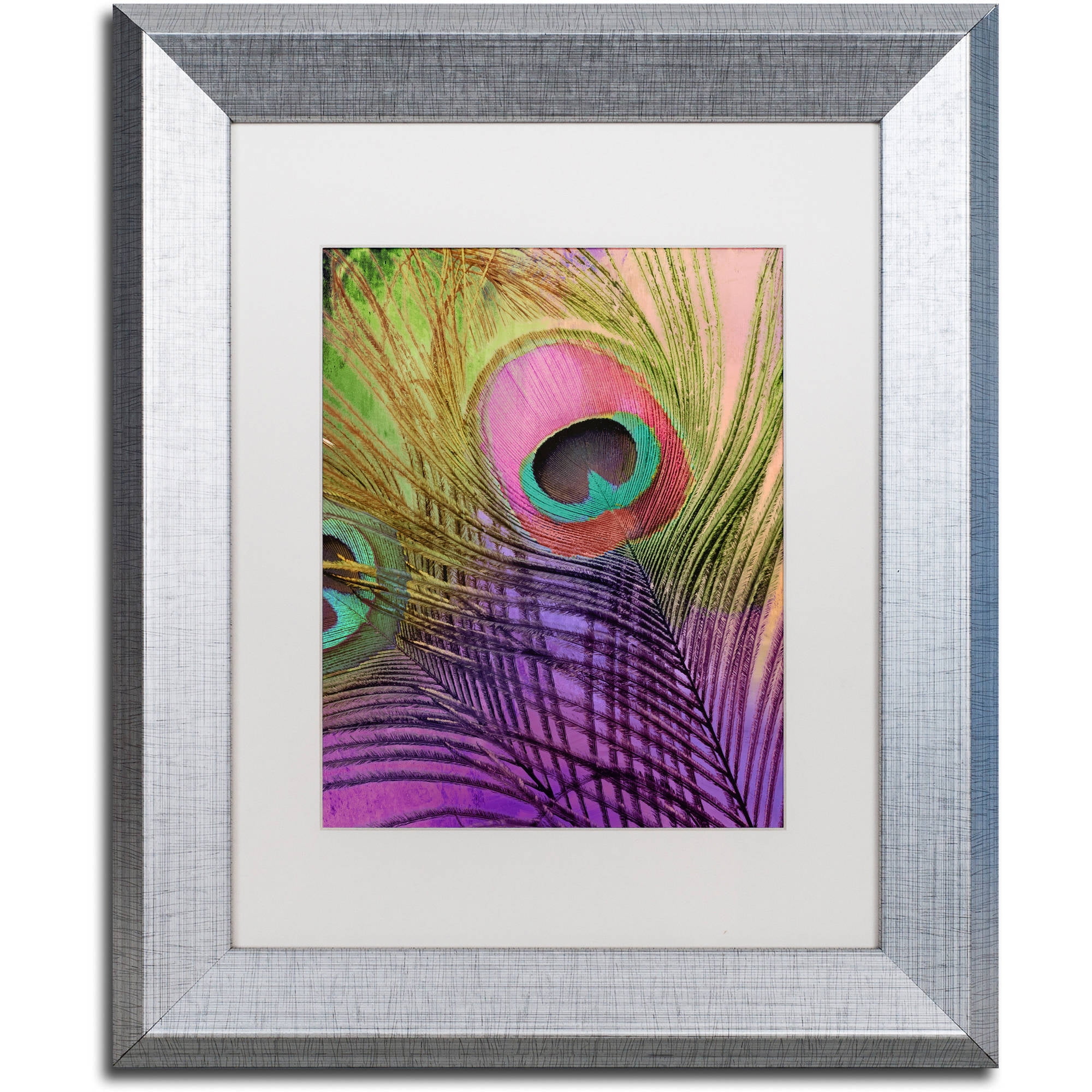 Trademark Fine Art "Peacock Candy III" Canvas Art by Color Bakery White Matte, Silver Frame