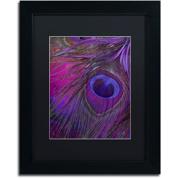 Trademark Fine Art "Peacock Candy IV" Canvas Art by Color Bakery Black Matte, Black Frame