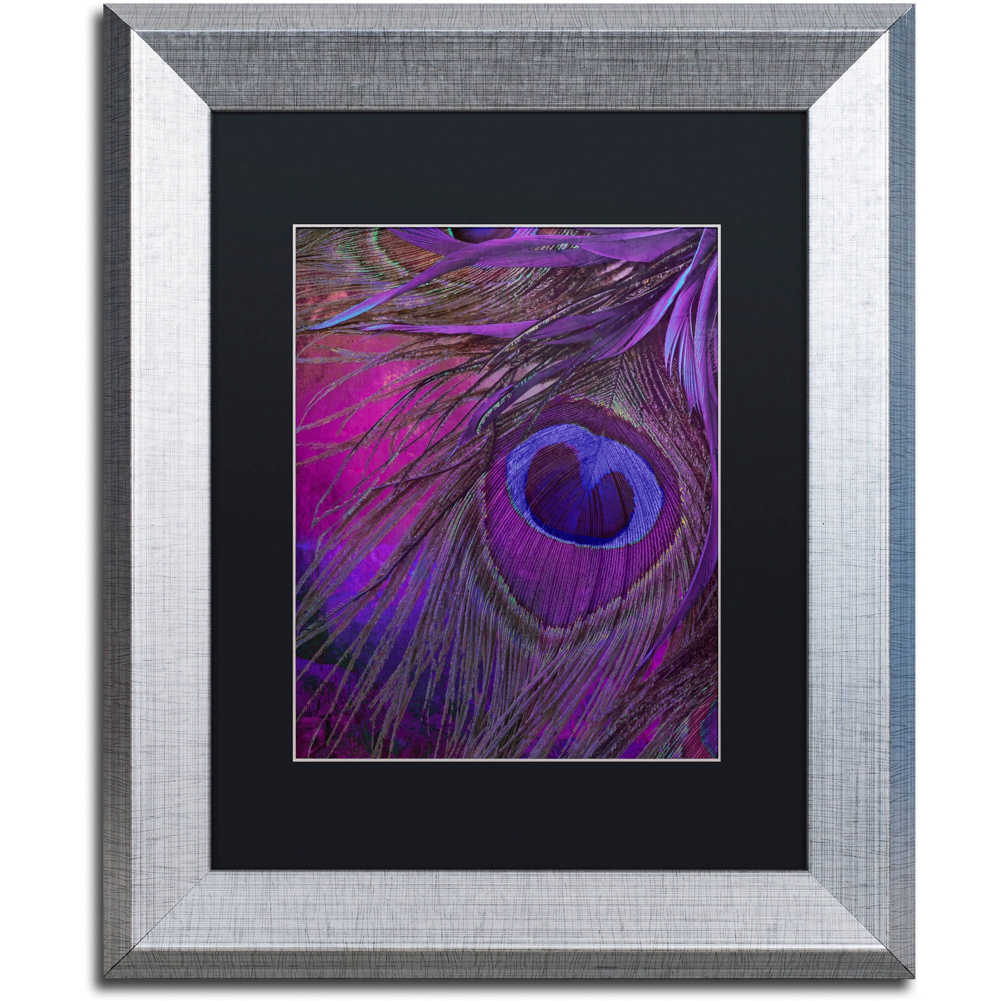 Trademark Fine Art "Peacock Candy IV" Canvas Art by Color Bakery Black Matte, Silver Frame